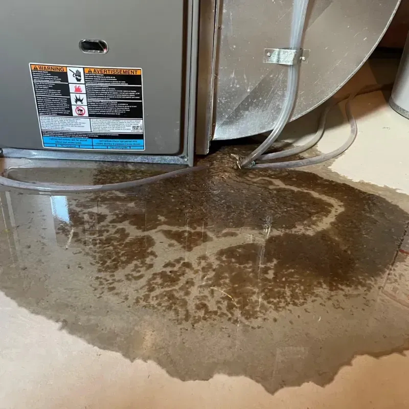 Appliance Leak Cleanup in Beaver Dam, KY